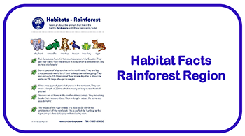 Habitat Facts Rainforest Region