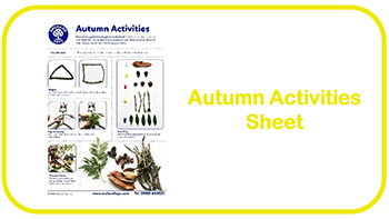 Autumn Activities Sheet
